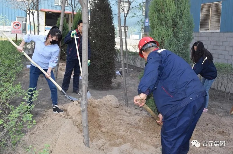 6.webp.jpg 6.webp.jpg