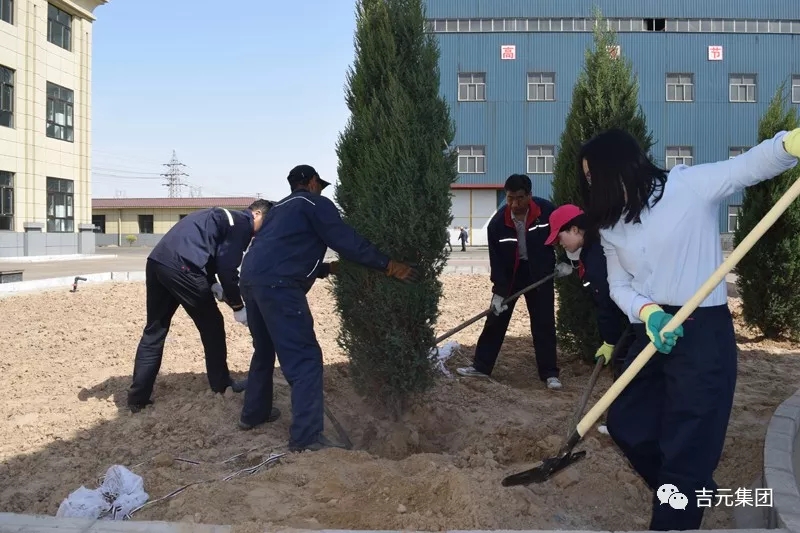 8.webp.jpg 8.webp.jpg